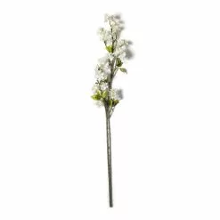 Top 10 ⌛ Cream Blossom Stem by Ashland® 👏