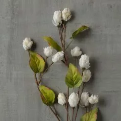 Best reviews of 🛒 Cream Hops Spray by Ashland® 😍 -Ashland Sale Store 10461196 25