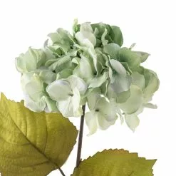 Top 10 ✨ Sea Foam Green Hydrangea Stem By Ashland® 🧨 -Ashland Sale Store 10461200 20