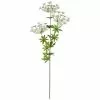Flash Sale ✨ 12 Pack: White Queen Anne's Lace Spray by Ashland® ✨ -Ashland Sale Store 10461649