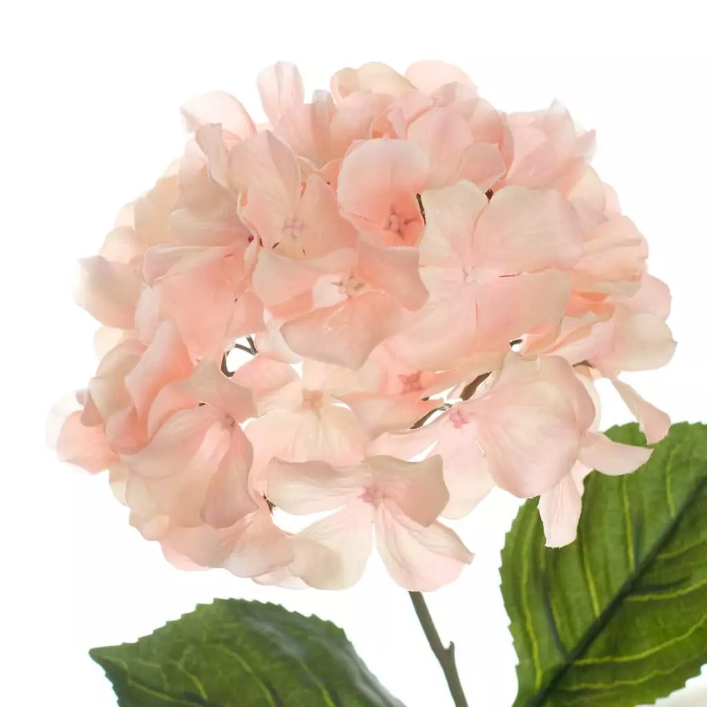 Discount ⌛ Pink Hydrangea Stem by Ashland® ⭐ 5 Discount ⌛ Pink Hydrangea Stem by Ashland® ⭐ - Image 3