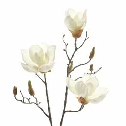 Cheapest ⌛ White Magnolia Branch Stem by Ashland® 🎉 -Ashland Sale Store 10468846 2