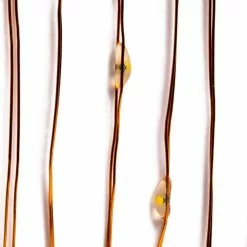 Best Pirce 👏 12 Pack: 40ct. Warm White Copper Wire LED String Lights by Ashland® 🎁 -Ashland Sale Store 10473563 3 1