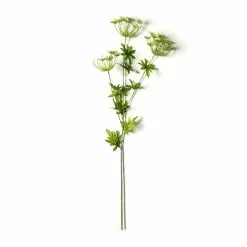 Best deal ⭐ Queen Anne's Lace Spray by Ashland® 🤩