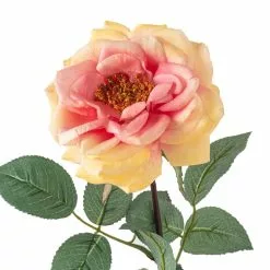 Flash Sale 🧨 Orlane Rose Stem by Ashland® ✔️ -Ashland Sale Store 10501486 20