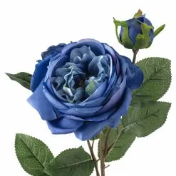 Coupon ✔️ Blue English Rose Stem by Ashland® 👏 -Ashland Sale Store 10501503 20
