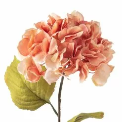 Best Sale ⌛ Coral Two-Toned Hydrangea Stem by Ashland® 🛒 -Ashland Sale Store 10501508 20