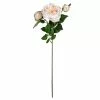 Best deal 🌟 Toast English Rose Stem by Ashland® ⌛ 2 Best deal 🌟 Toast English Rose Stem by Ashland® ⌛ -Ashland Sale Store 10501510
