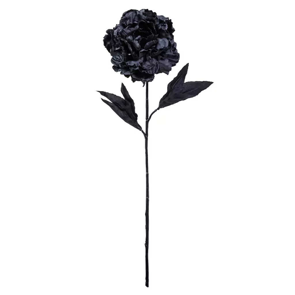 New ⌛ 12 Pack: Black Peony Stem by Ashland® 👍 3 New ⌛ 12 Pack: Black Peony Stem by Ashland® 👍