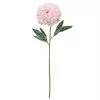 Promo 🎁 12 Pack: Light Pink Peony Stem by Ashland® ⌛