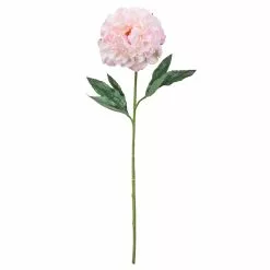 Promo 🎁 12 Pack: Light Pink Peony Stem by Ashland® ⌛