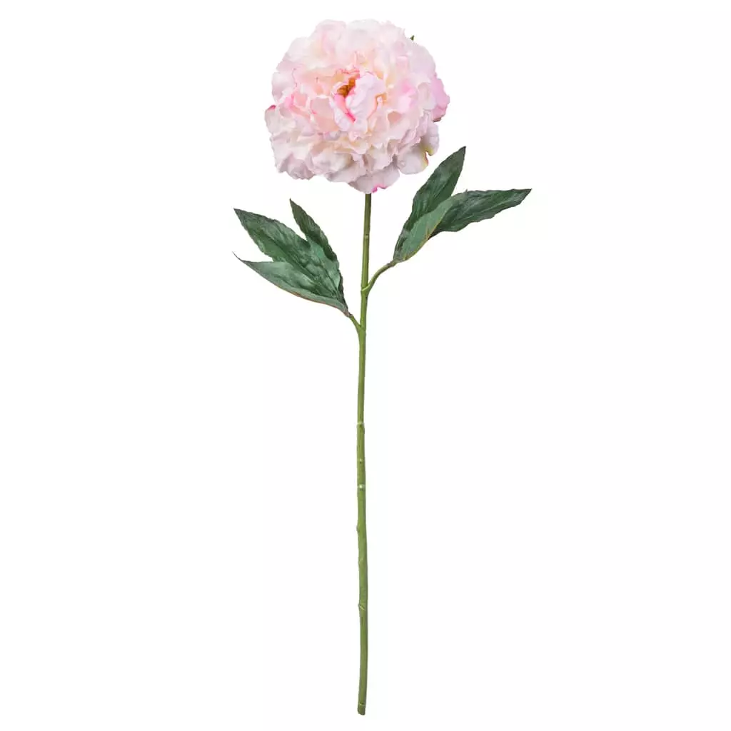 Promo 🎁 12 Pack: Light Pink Peony Stem by Ashland® ⌛ 3 Promo 🎁 12 Pack: Light Pink Peony Stem by Ashland® ⌛
