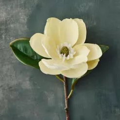 Cheapest ❤️ White Magnolia Stem by Ashland® 🔔 -Ashland Sale Store 10501956 20