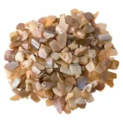 Flash Sale ❤️ Natural Crushed Shells By Ashland™ 👍