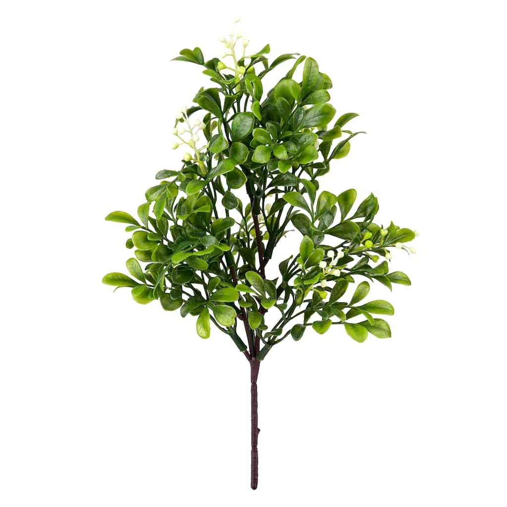 Top 10 🥰 Boxwood Pick By Ashland® 🤩 3 Top 10 🥰 Boxwood Pick By Ashland® 🤩