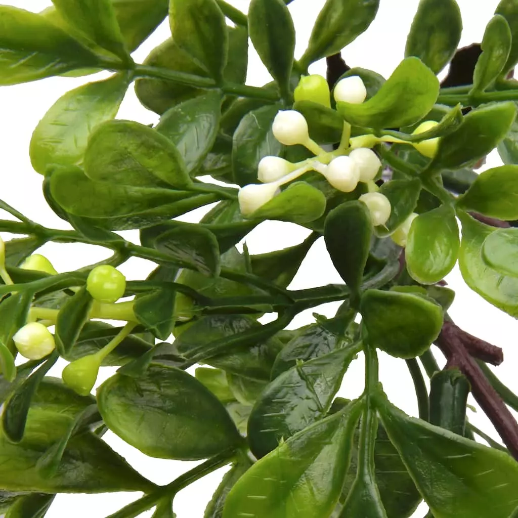 Top 10 🥰 Boxwood Pick By Ashland® 🤩 4 Top 10 🥰 Boxwood Pick By Ashland® 🤩 - Image 2