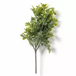 Top 10 🥰 Boxwood Pick By Ashland® 🤩 10 Top 10 🥰 Boxwood Pick By Ashland® 🤩 -Ashland Sale Store 10546920 21