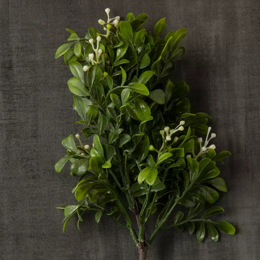 Top 10 🥰 Boxwood Pick By Ashland® 🤩 7 Top 10 🥰 Boxwood Pick By Ashland® 🤩 - Image 5