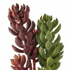 Brand new 😍 Assorted Succulent Pick with 3 Heads By Ashland® 💯 -Ashland Sale Store 10546921 20