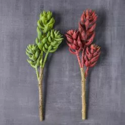 Brand new 😍 Assorted Succulent Pick with 3 Heads By Ashland® 💯 -Ashland Sale Store 10546921 22