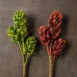 Brand new 😍 Assorted Succulent Pick with 3 Heads By Ashland® 💯 -Ashland Sale Store 10546921 25