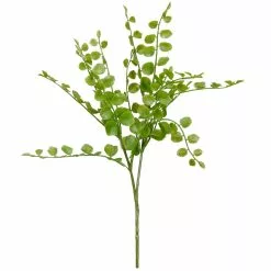 Cheap ✔️ 18 Pack: Assorted Fern Pick by Ashland® 👏
