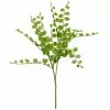 Coupon 🔔 Assorted Fern Pick By Ashland® 😉 -Ashland Sale Store 10546923 1
