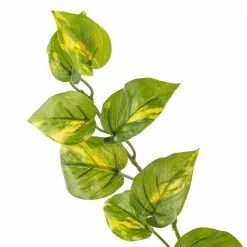 Deals 👍 Hanging Philo Bush by Ashland® 🔔 -Ashland Sale Store 10547222 20