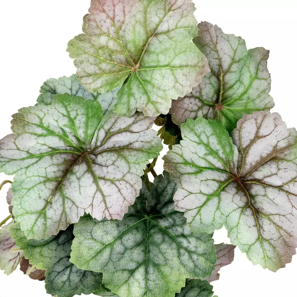 Deals π₯° 12 Pack: Assorted Ivy Leaf Pick by Ashland® π 4 Deals π₯° 12 Pack: Assorted Ivy Leaf Pick by Ashland® π - Image 2