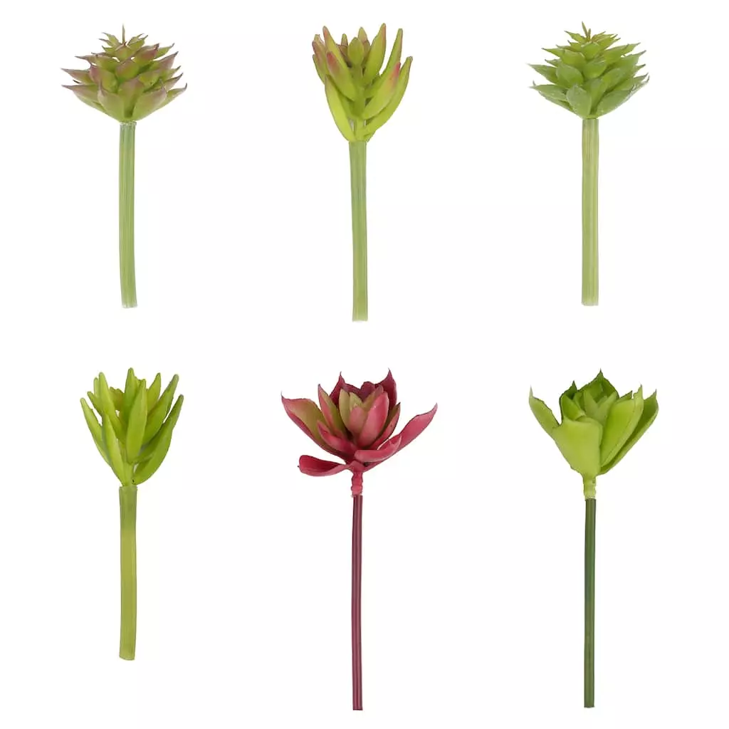 Coupon ⌛ 24 Pack: Assorted Succulent Pick by Ashland® ❤️ 3 Coupon ⌛ 24 Pack: Assorted Succulent Pick by Ashland® ❤️