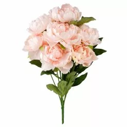 New 🔔 Coral Peony Bush by Ashland® ⌛
