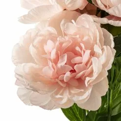 New 🔔 Coral Peony Bush by Ashland® ⌛ -Ashland Sale Store 10547347 20