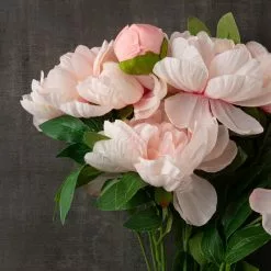 New 🔔 Coral Peony Bush by Ashland® ⌛ -Ashland Sale Store 10547347 25