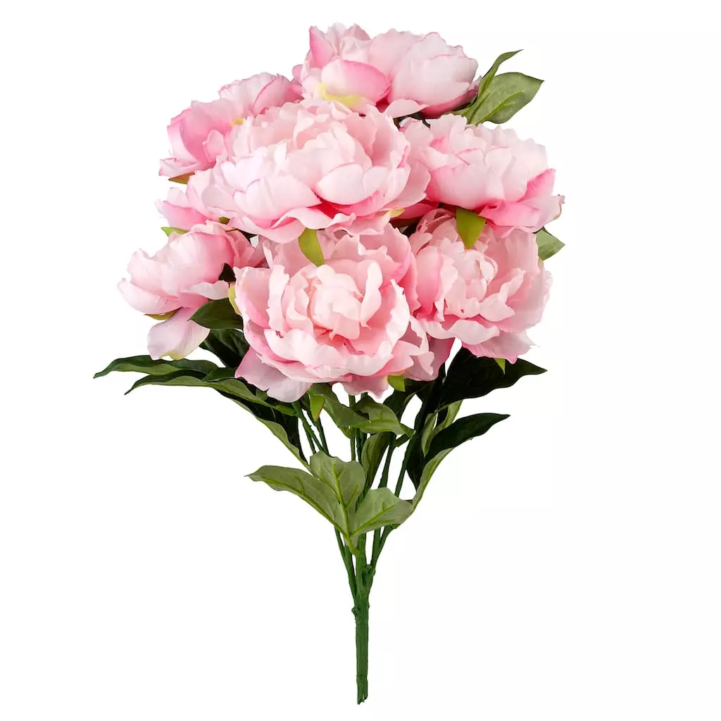 Wholesale 🎁 Pink Peony Bush by Ashland® 😍 3 Wholesale 🎁 Pink Peony Bush by Ashland® 😍
