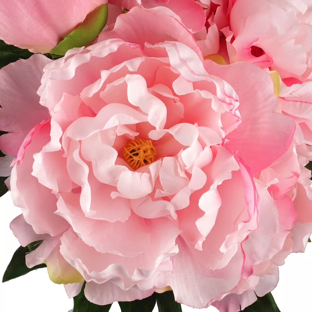Wholesale 🎁 Pink Peony Bush by Ashland® 😍 4 Wholesale 🎁 Pink Peony Bush by Ashland® 😍 - Image 2