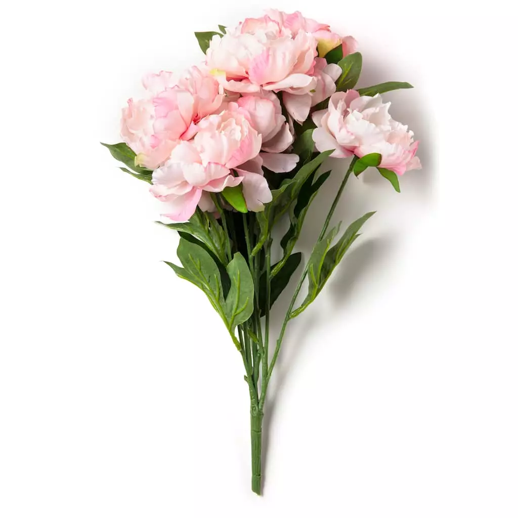 Wholesale 🎁 Pink Peony Bush by Ashland® 😍 7 Wholesale 🎁 Pink Peony Bush by Ashland® 😍 - Image 5
