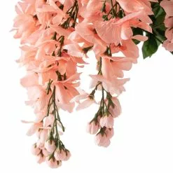 Budget 🛒 Coral Wisteria Bush by Ashland® 🎉 -Ashland Sale Store 10547397 20