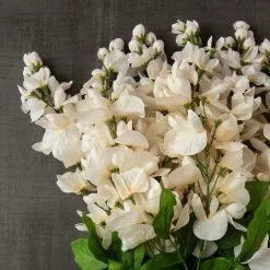 Wholesale ✨ Cream Wisteria Bush by Ashland® 🔔 -Ashland Sale Store 10547398 25