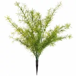 Buy ⌛ Springeri Bush by Ashland® 🌟