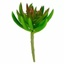 Promo 🔔 Assorted Succulent Pick By Ashland® 💯 -Ashland Sale Store 10547488 3