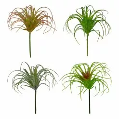 Cheap ✨ Assorted Tillandsia Pick By Ashland® 🎉