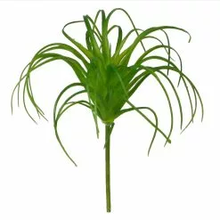 Outlet ⌛ 24 Pack: Assorted Tillandsia Pick by Ashland® 💯 -Ashland Sale Store 10547489 2 1
