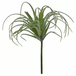 Cheap ✨ Assorted Tillandsia Pick By Ashland® 🎉 -Ashland Sale Store 10547489 4