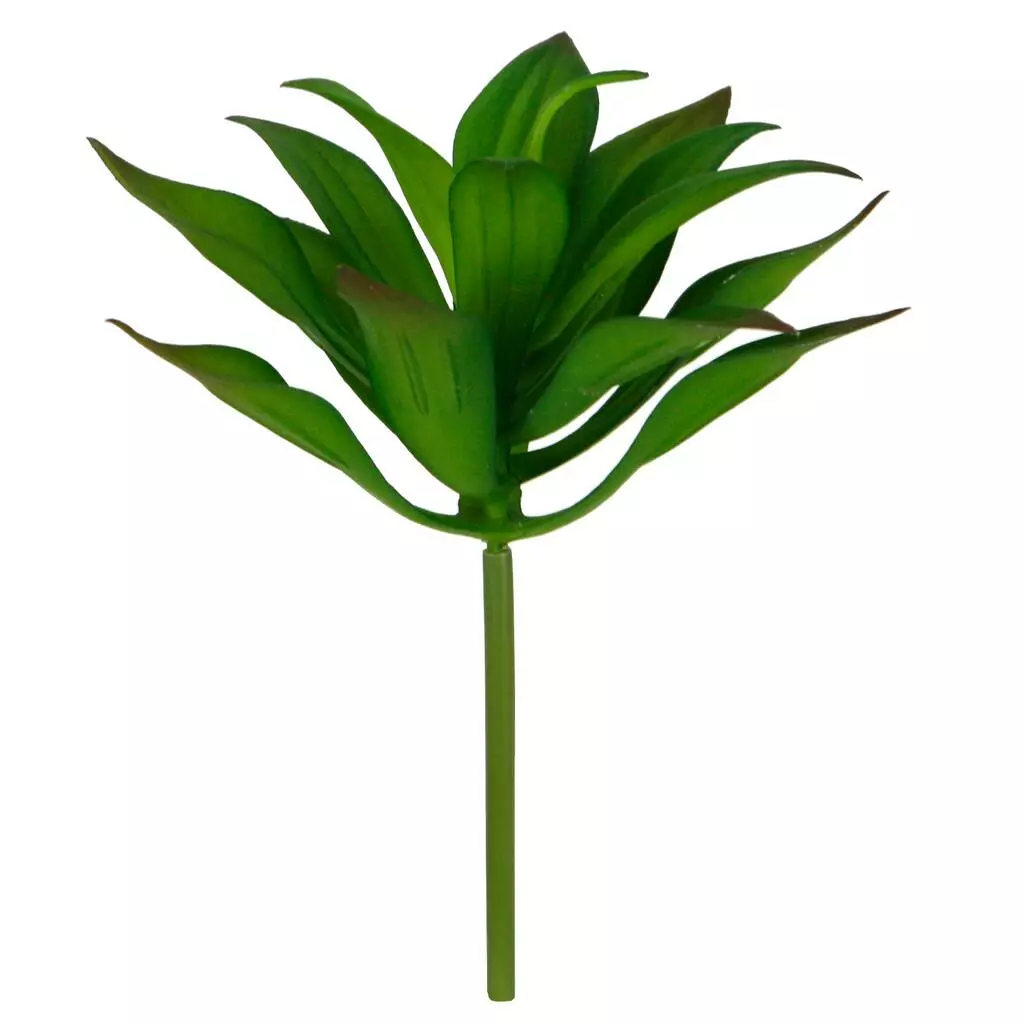 Deals 🎉 12 Pack: Assorted Agave Pick by Ashland® 😀 4 Deals 🎉 12 Pack: Assorted Agave Pick by Ashland® 😀 - Image 2