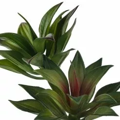 Coupon 🧨 Assorted Agave Pick By Ashland® 🤩 -Ashland Sale Store 10547490 20