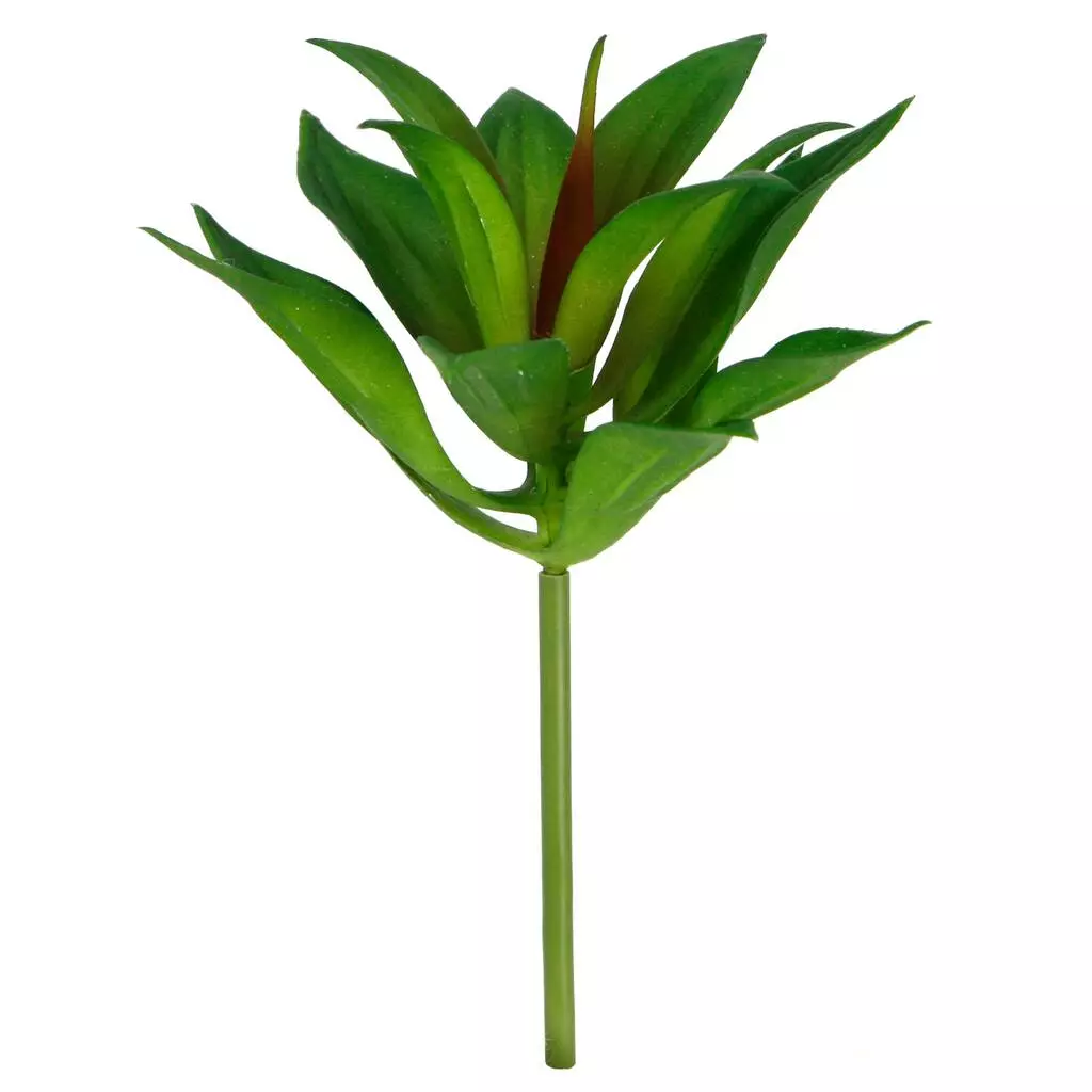 Deals 🎉 12 Pack: Assorted Agave Pick by Ashland® 😀 6 Deals 🎉 12 Pack: Assorted Agave Pick by Ashland® 😀 - Image 4