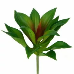 Deals 🎉 12 Pack: Assorted Agave Pick by Ashland® 😀 13 Deals 🎉 12 Pack: Assorted Agave Pick by Ashland® 😀 -Ashland Sale Store 10547490 4