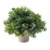 Cheapest ⭐ Premade Boxwood Bush by Ashland® 😀 -Ashland Sale Store 10547538 21