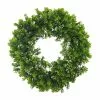 Flash Sale 💯 22" Boxwood Wreath by Ashland® 🛒