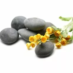 Best Sale 🌟 Large Washed Black Stones by Ashland ✔️ -Ashland Sale Store 10552993 3